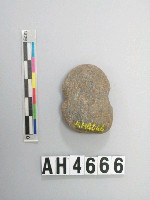 藏品(小砝碼型石網墜)的圖片